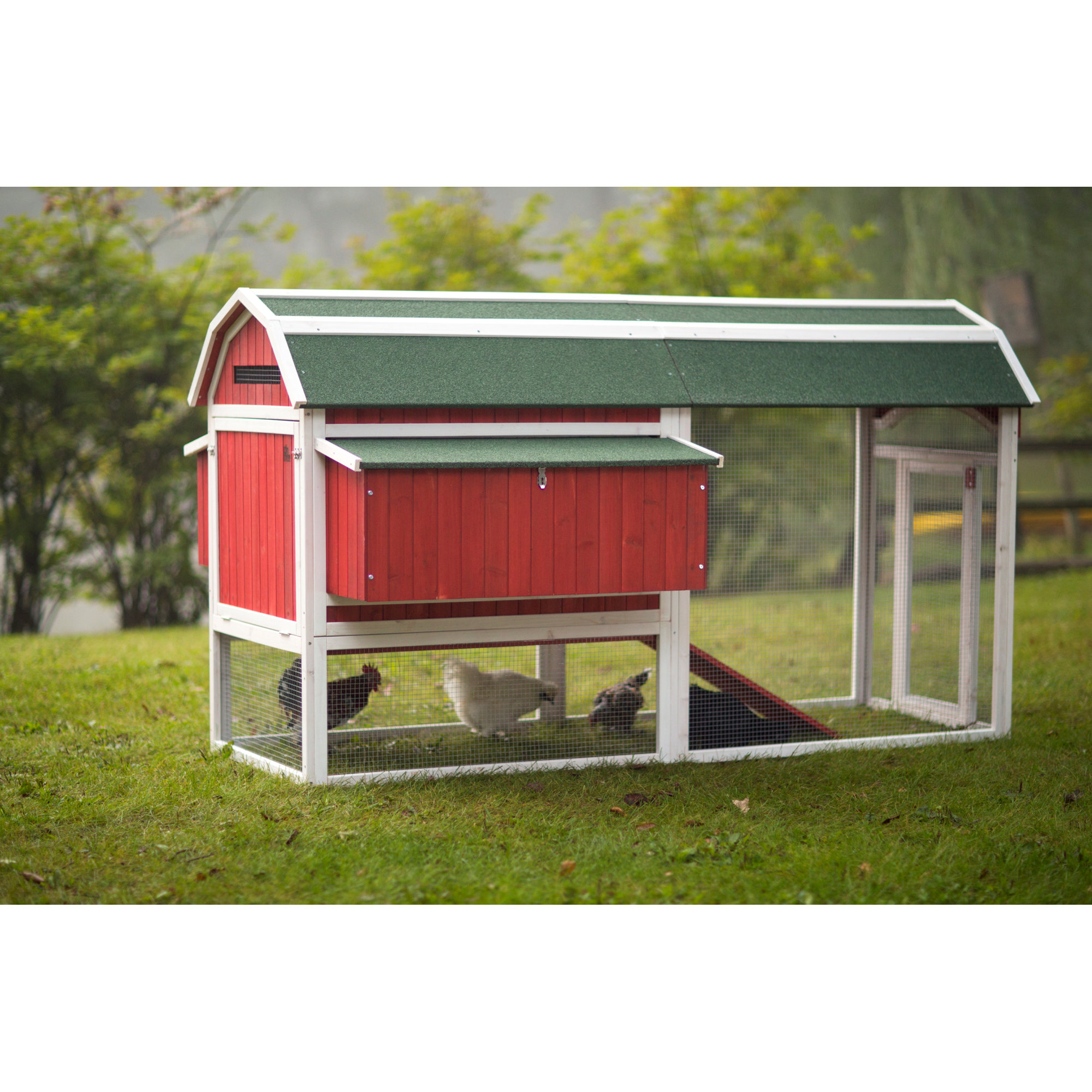 Prevue Hendryx Large Barn Chicken Coop with Roosting Bar & Reviews